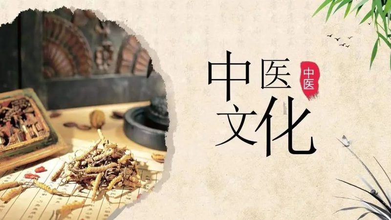 成都中医推拿与泰式推拿：探寻身心平衡的奥秘